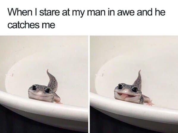 wholesome relationship memes - lizard stare at my man awe and he catches