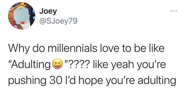 millennial roasts - adulting