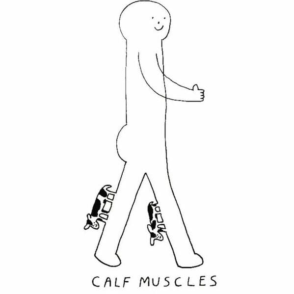 constant bagel therapy - calf muscles cows