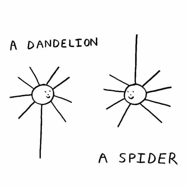 constant bagel therapy - a dandelion a spider