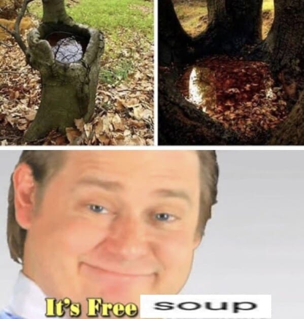 earth day memes - it's free soup