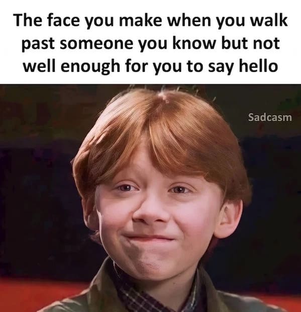 sadcastic memes - ron weasley