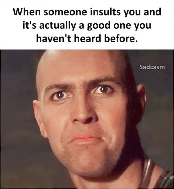 sadcastic memes - when someone insults you and its actually a good one you haven't heard before