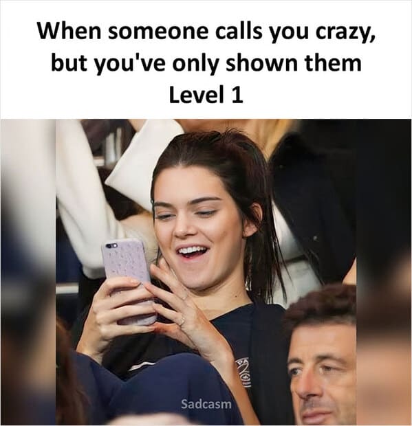 sadcastic memes - when someone calls you crazy