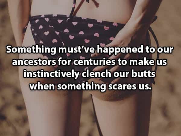 Something must've happened to our ancestors for centuries to make us instinctively clench our butts when something scares us.
