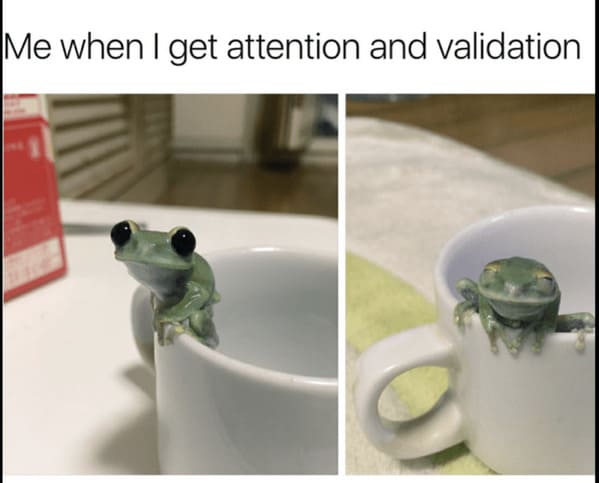 wholesome relationship memes - tableware get attention and validation