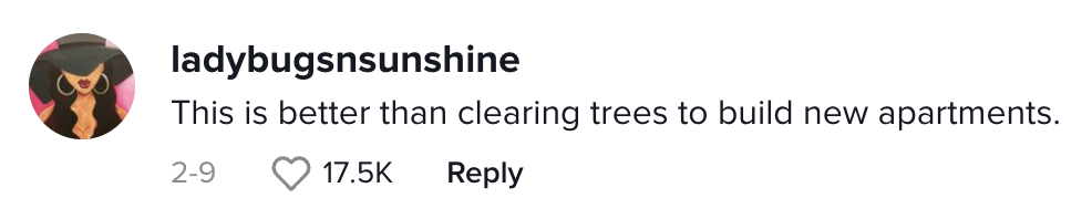 mall into apartments tiktok - this instead of clearing more trees