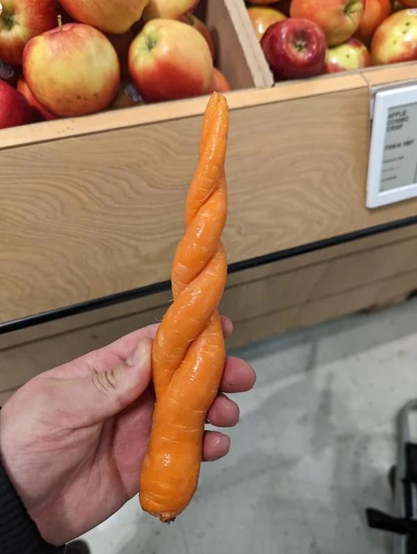 bizarre photos - twisted carrot