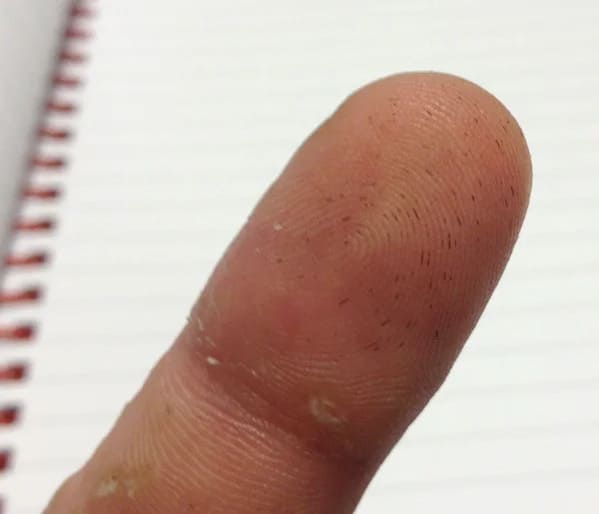 bizarre photos - tiny hairs lodged fingerprint