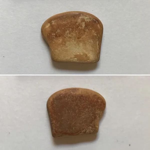 bizarre photos - pebble looks like french toast