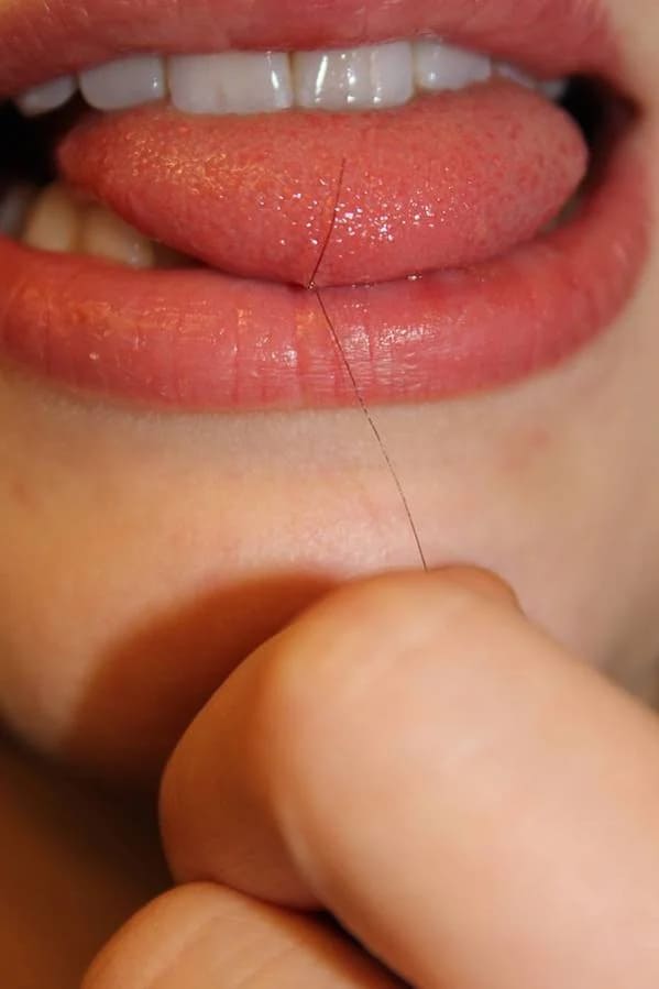 bizarre photos - somehow while brushing my hair, tied a knot around one of my taste buds
