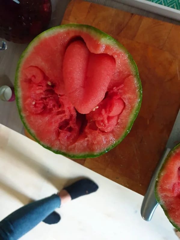bizarre photos - exploding watermelon