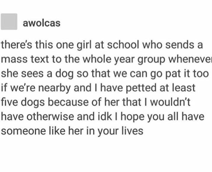 wholesome meme - there's this one girl at school