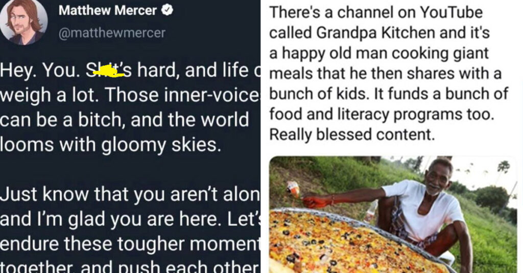 Wholesome Memes And Good News
