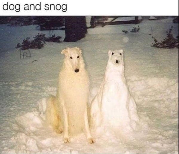 wholesome animal memes - dog snowman