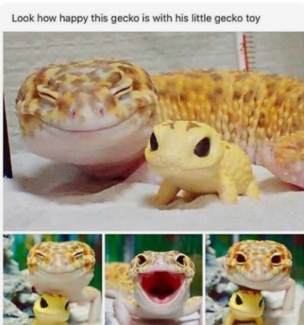 wholesome animal memes - gecko with toy gecko