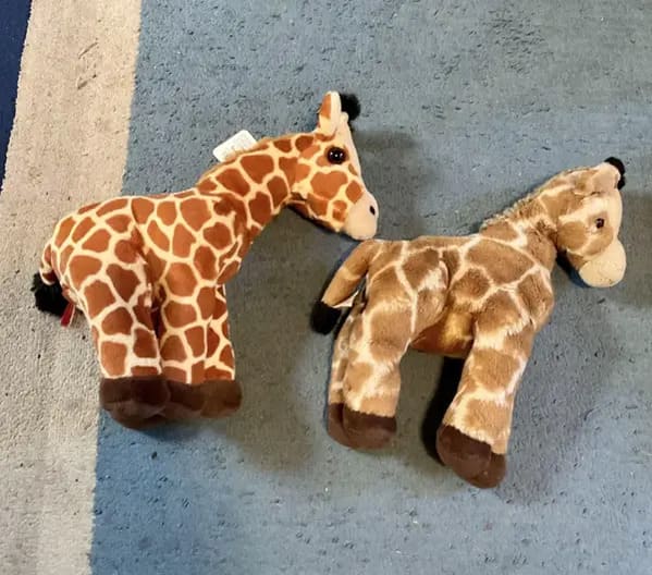 stuffed animals before and after - giraffe