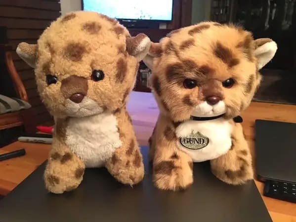 stuffed animals before and after - cat