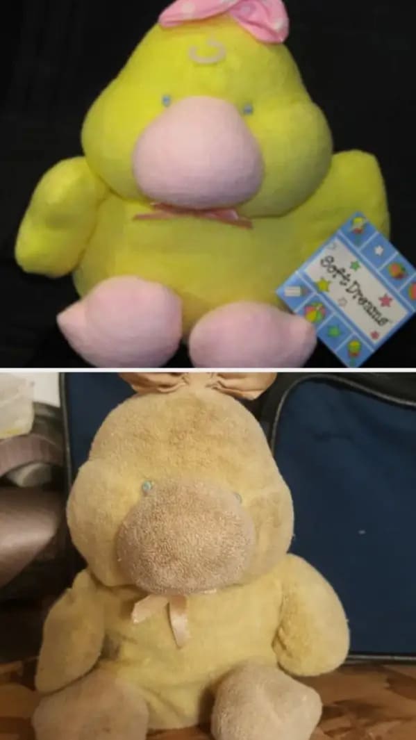 stuffed animals before and after - platypus