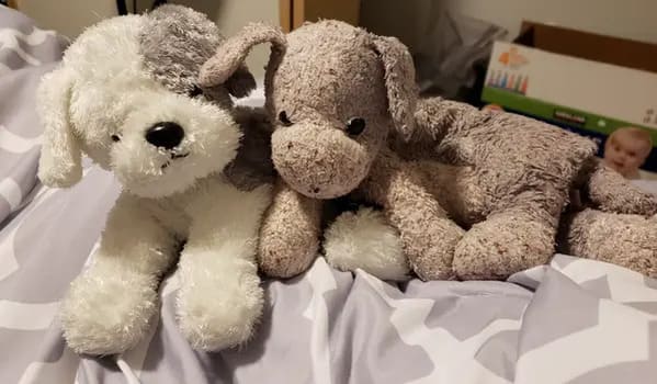 stuffed animals before and after - dog
