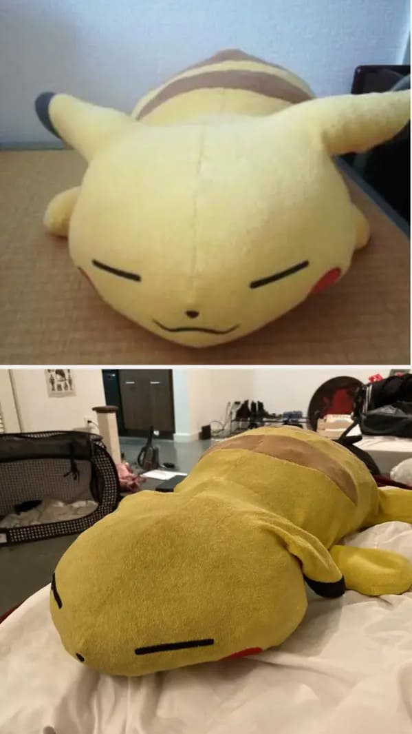 stuffed animals before and after - pikachu