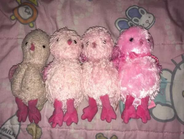 stuffed animals before and after - pink stuffed animal