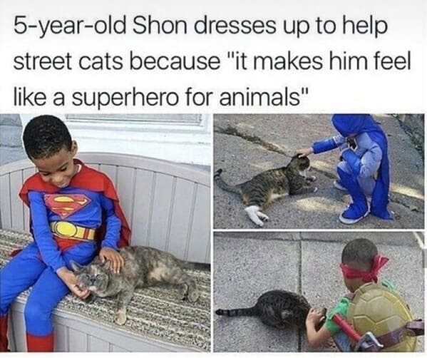 bros helping bros - kid dresses up as superhero for animals