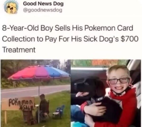 bros helping bros - boy sells pokemon card collection to pay for sick dogs 700 treatment