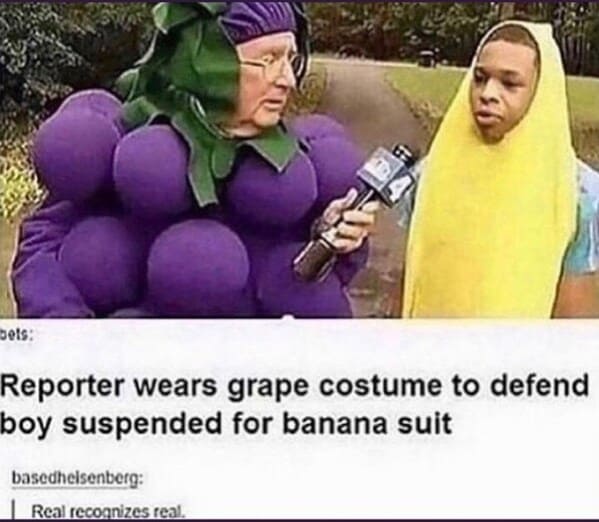 bros helping bros - reporter wears grape costume to defend boy suspended for banana suit
