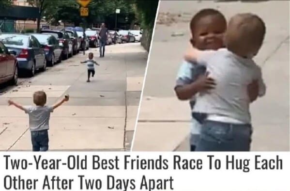 bros helping bros - two-year-old best friends race to hug each other after two days apart