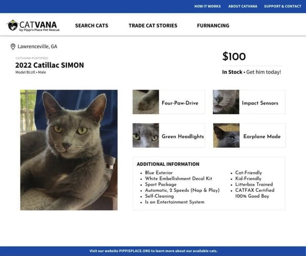 Social Media Manager At Cat Shelter Delights Internet By Imagining Cats As Cars In Pretend Listings - Jarastyle