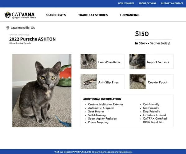 Social Media Manager At Cat Shelter Delights Internet By Imagining Cats As Cars In Pretend Listings - Jarastyle