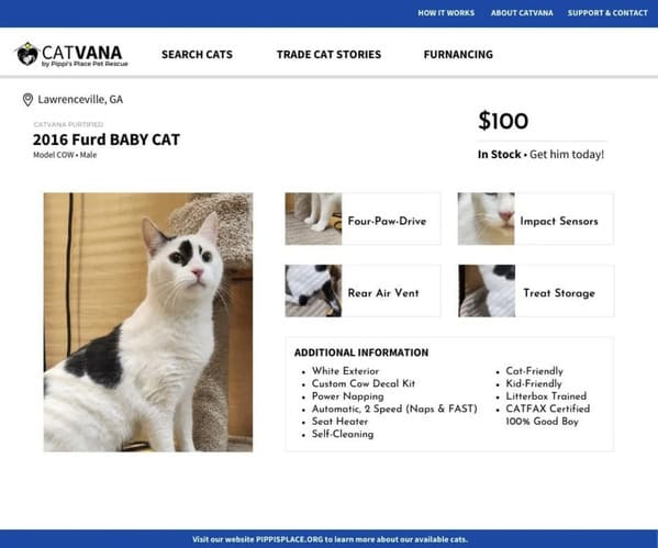 Social Media Manager At Cat Shelter Delights Internet By Imagining Cats As Cars In Pretend Listings - Jarastyle