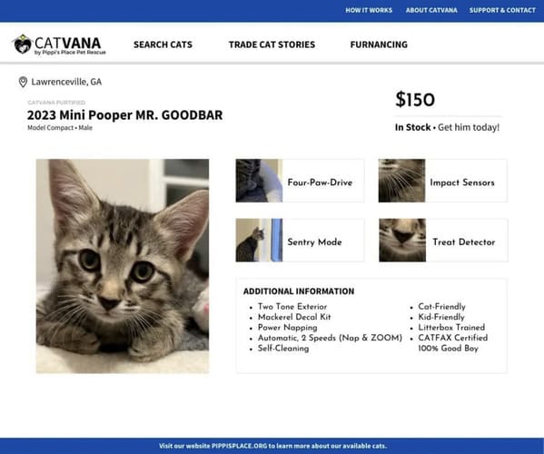 Social Media Manager At Cat Shelter Delights Internet By Imagining Cats As Cars In Pretend Listings - Jarastyle