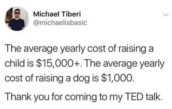 childfree memes - the average cost of having a child