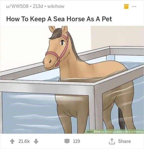 dark funny wikihow meme - how to keep a sea horse as a pet