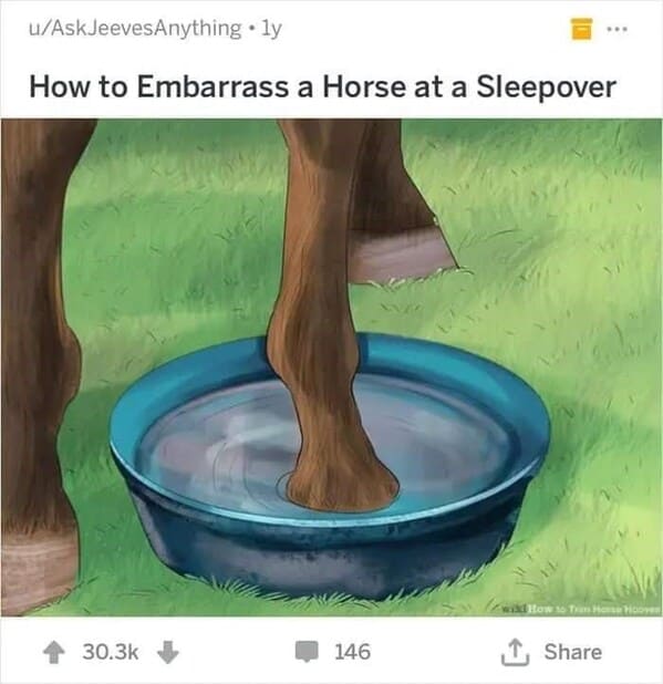 dark funny wikihow meme - how to embarrass a horse at a sleepover