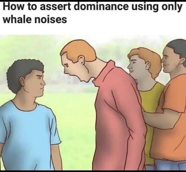dark funny wikihow meme - how to assert dominance using only whale noises