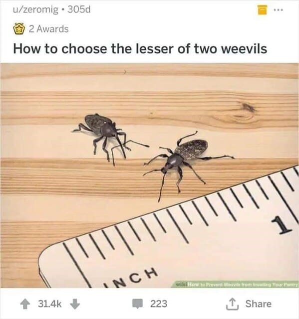 dark funny wikihow meme - how to choose the lesser of two weevils