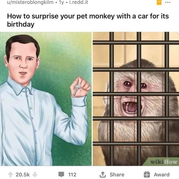 dark funny wikihow meme - how to surprise your pet monkey with a carr for its birthday