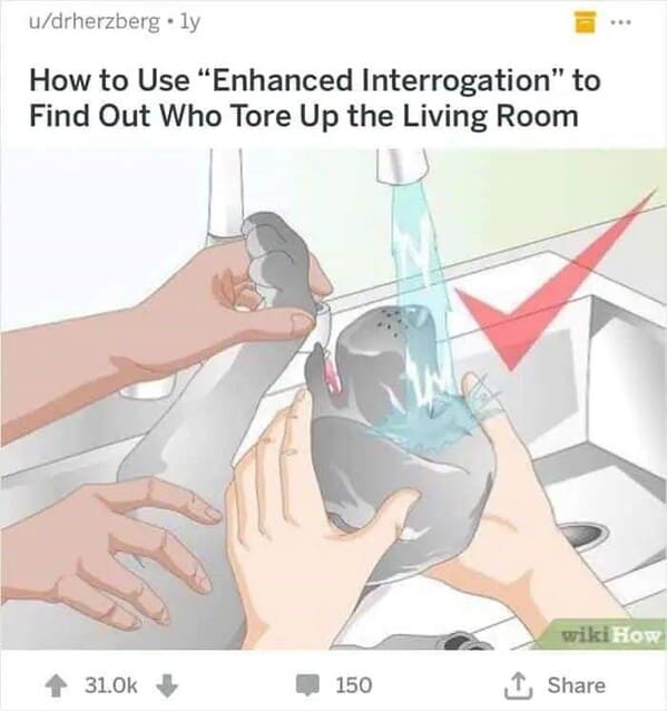 dark funny wikihow meme - how to use enhanced interrogation to find out who tore up the living room