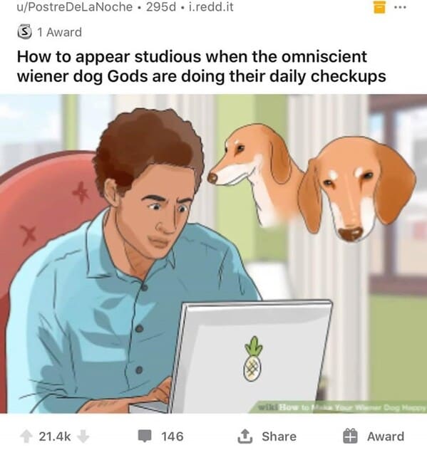 dark funny wikihow meme - how to appear studious when the omniscient wiener dog gods are doing their daily checkups