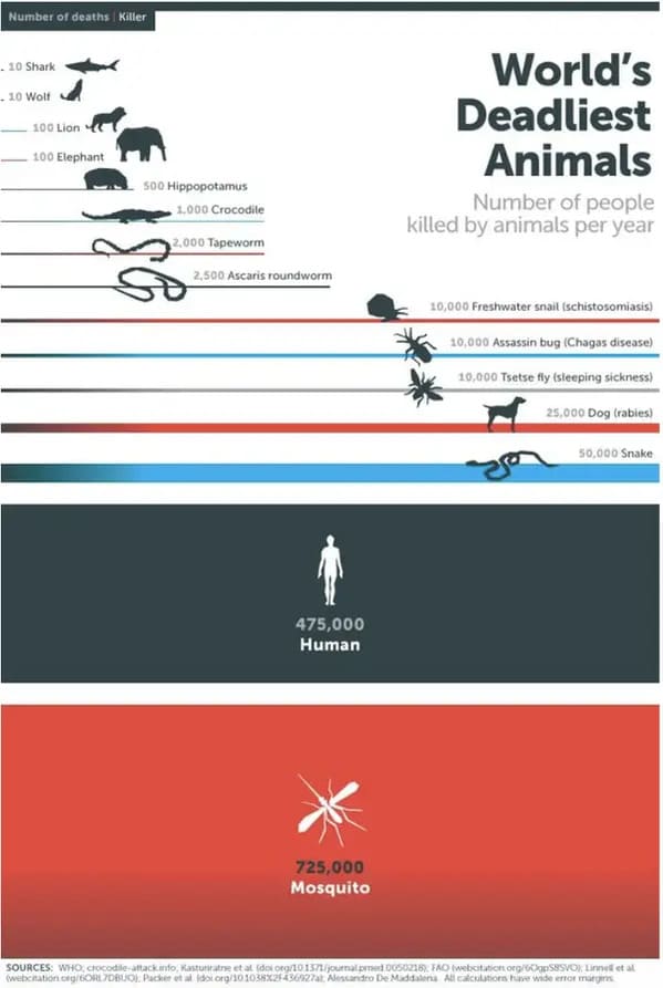 20+ Cool Guides And Fascinating Charts That'll Teach You Something New - Jarastyle