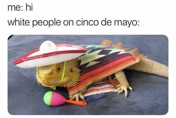 cinco de mayo memes - white people on cinco de mayo iguana in a sombrerero