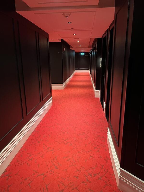 liminal space - hotel hallway red carpet