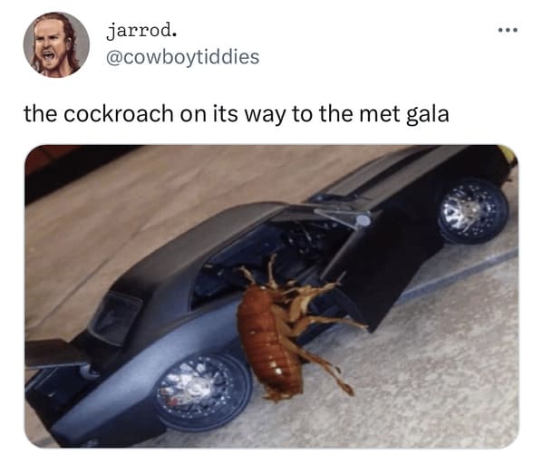 met gala cockroach - cockroach falling out of car
