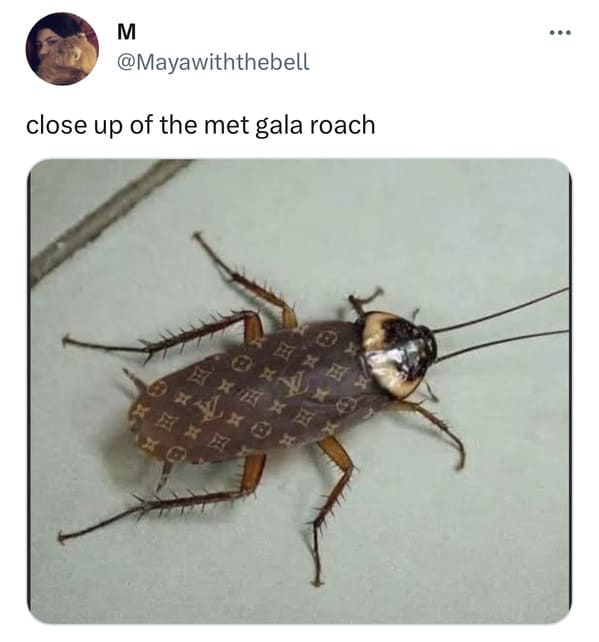 Cockroach Walking Red Carpet At Met Gala Takes Center Stage As Latest