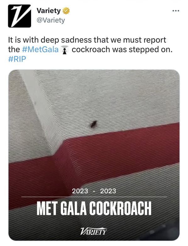 met gala cockroach variety