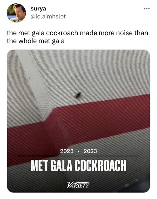 met gala cockroach - the met gala cockroach made more noise than the whole met gala