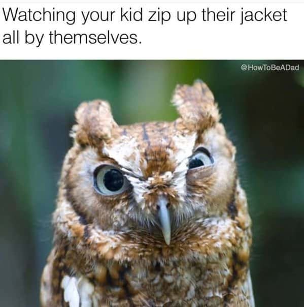 mom memes - mothers day memes - watching your kid zip up their jacket all by themselves